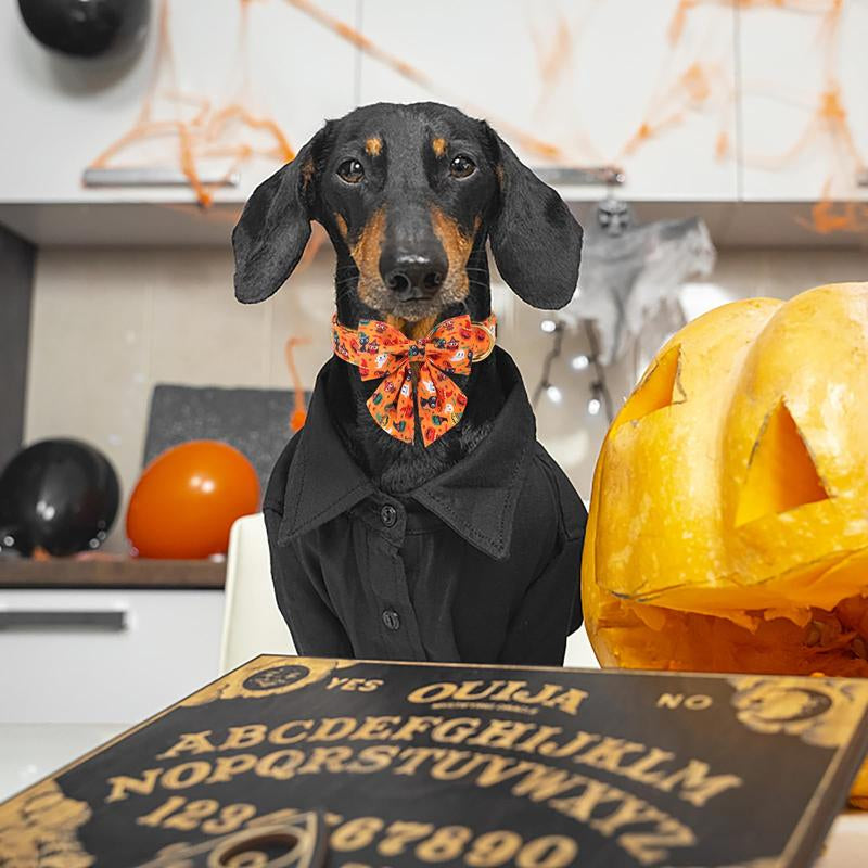 Maca Bates Halloween Dog Collar, Adjustable Ghost & Pumpkin Collar with Bowtie, Birthday Gift for Dogs of All Sizes