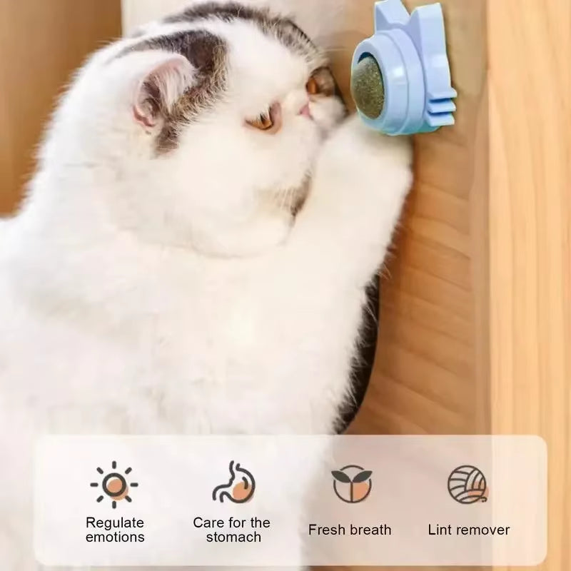 Catnip Ball Cat Toys Self-Hi Cat Pet Products to Relieve Boredom and Bite-Resistant Kittens Kittens Grind Their Teeth