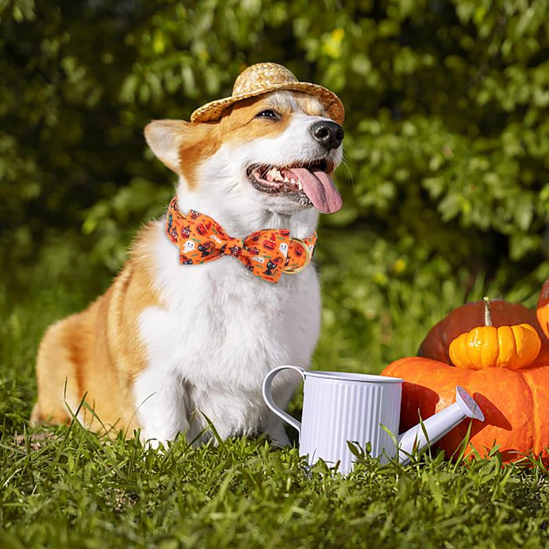 Maca Bates Halloween Dog Collar, Adjustable Ghost & Pumpkin Collar with Bowtie, Birthday Gift for Dogs of All Sizes