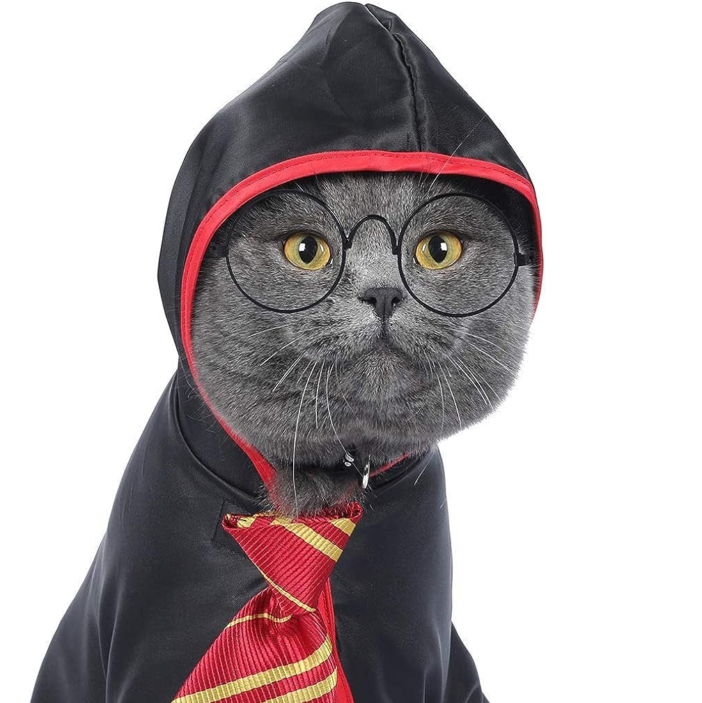 Cat Halloween Costume Anime Pet Clothes for Small Dog Kitten Costume Wizard Accessories Outfits (L) Red